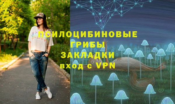хмурый Богородицк