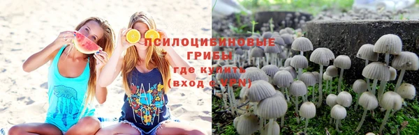 хмурый Богородицк
