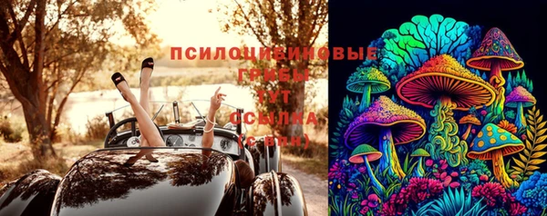 хмурый Богородицк