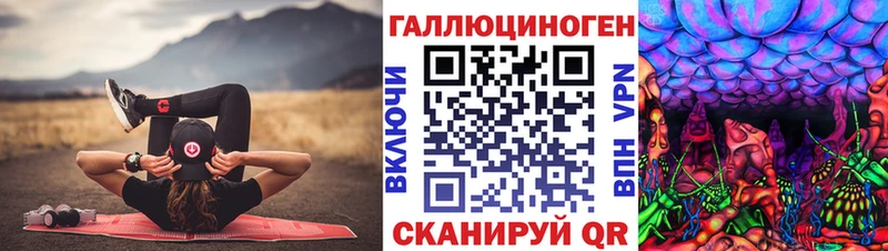Псилоцибиновые грибы Psilocybine cubensis Киселёвск