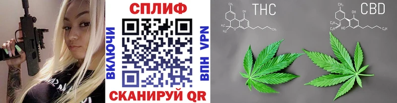 Бошки Шишки гибрид  Киселёвск 